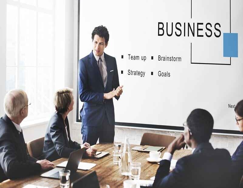 Business professional presenting a strategy to a group of executives, discussing teamwork, brainstorming, goals, and business strategies in a meeting room.